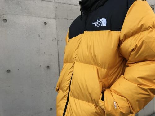 ザノースフェイスの1996