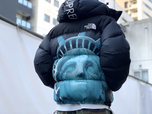 コラボ・別注アイテムのSUPREME x THE NORTH FACE