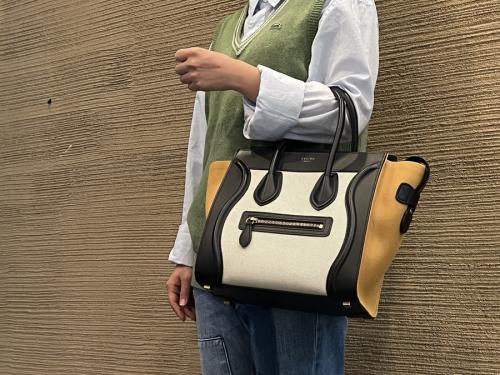 ハンドバッグのラゲージバッグ