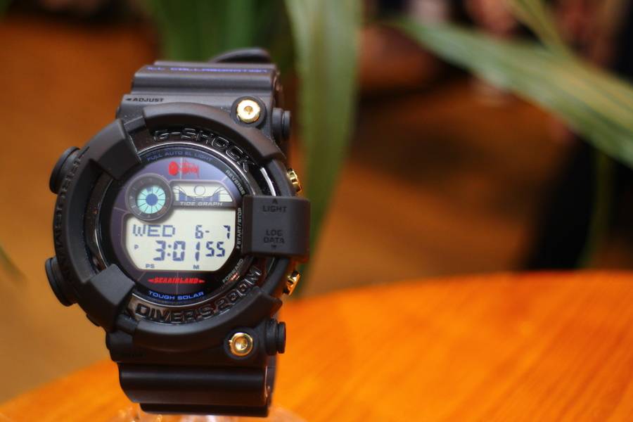 BAPE STUSSY G-SHOCK カシオフロッグマン　エイプ　ステューシー