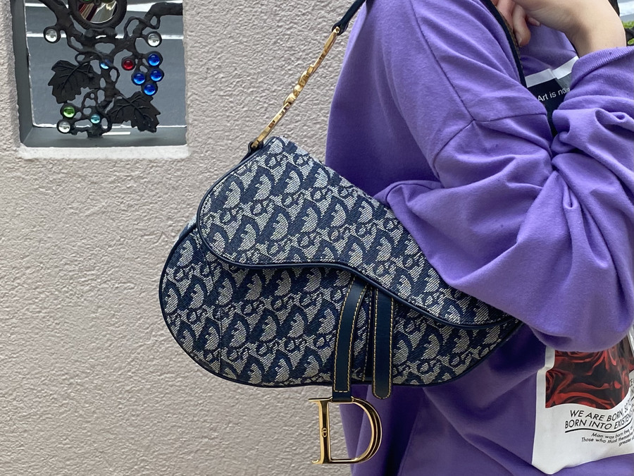 Dior クリスチャン　ディオール　ダブル　サドルバッグ ディオール ダブル サドルバッグ Christian Dior トロッター