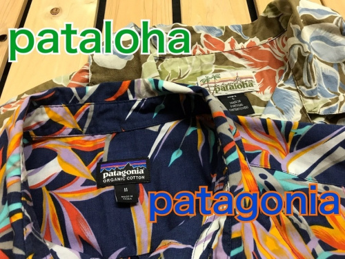 pataloha(パタロハ) & patagonia(パタゴニア)からアロハシャツを紹介