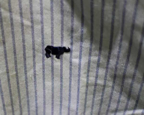 トップスの長袖シャツ