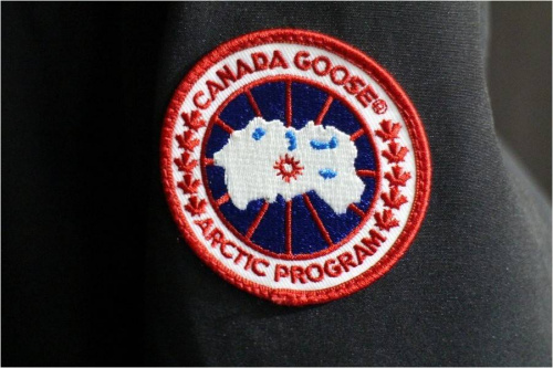 カナダグースのトレファクスタイル