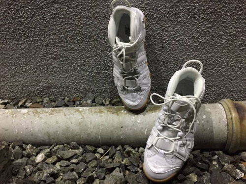 トレファクスタイル川口店ブログ画像１