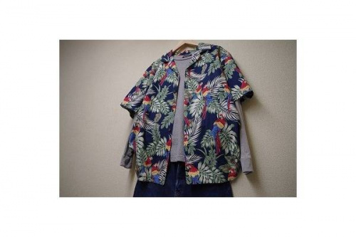 17年04月28日：画像６