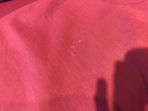 19年07月31日：画像７