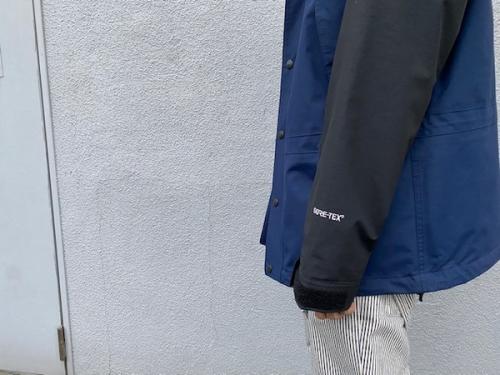 ザノースフェイススのマウンテンライトジャケット