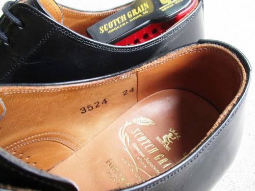 アシュランス外羽根プレーントゥシューズのメンズ