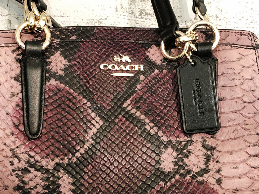 COACH　バック　パイソン柄