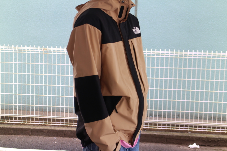 ノースフェイス beams 別注 Expedition Light Parka