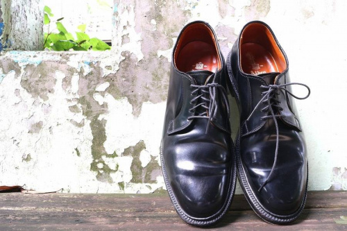 ALDENのオールデン