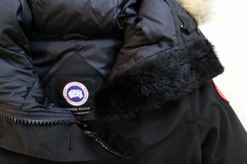 カナダグースの横浜