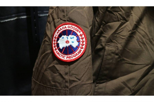 16年11月27日:画像6