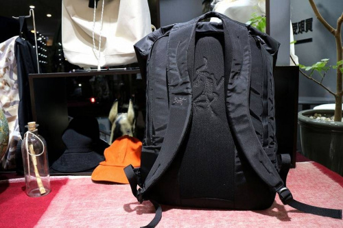 17年02月01日：画像６