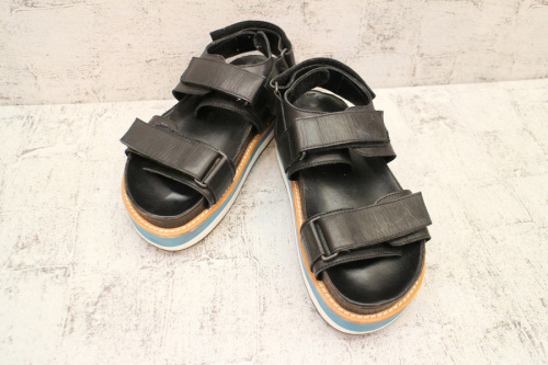 THE VIRIDI-ANNEのザ・ヴィリジアン