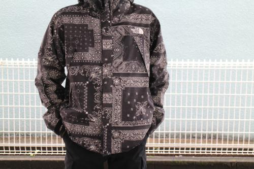 ザノースフェイスのノベルティドットショットジャケット