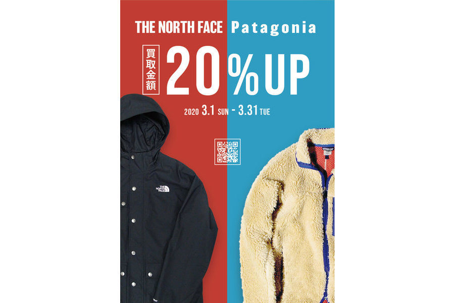 the north face patagonia