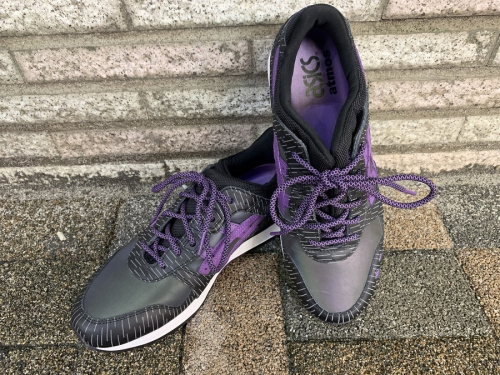 asics¤Î¥¢¥·¥Ã¥¯¥¹