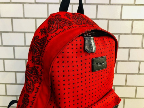 coachのコーチ
