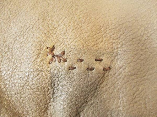 アンリークイールのエンリーベグリン