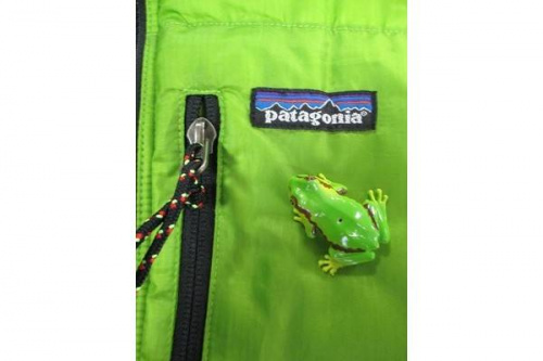 トップスのアウトドア