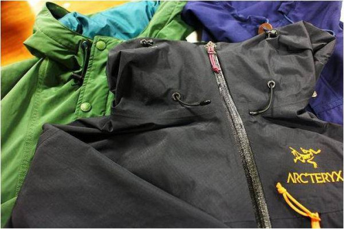 アークテリクスのザ　ノースフェイス　パープルレーベル