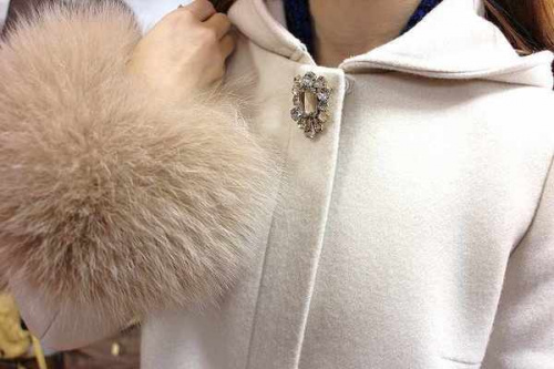 アプワイザー・リッシェのコート