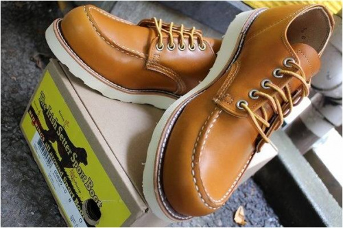 レッドウィングのアイリッシュセッター