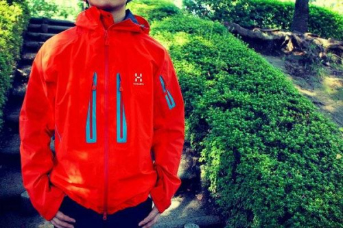 ロウアルパインのホグロホス