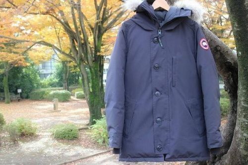 16年11月15日：画像７