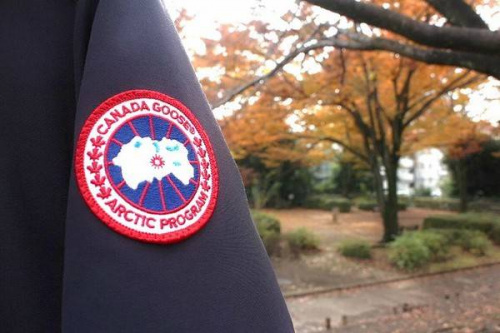 16年11月15日：画像８