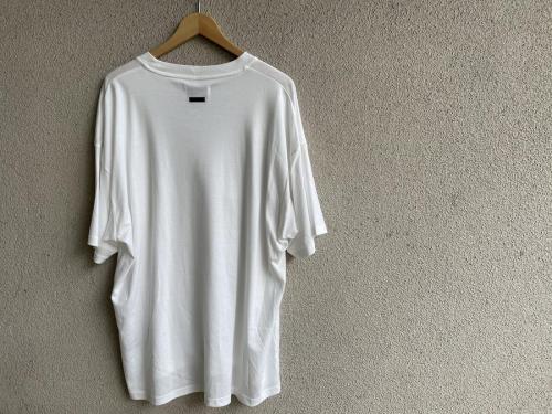 STEINのシュタイン