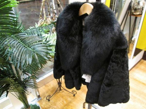 トレファクスタイル尼崎店ブログ画像２