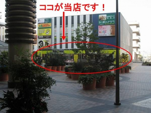 トレファクスタイル尼崎店ブログ画像３