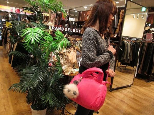 シーバイクロエのマークバイマークジェイコブス