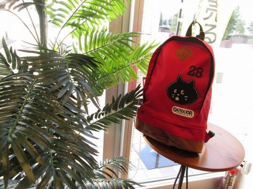 ニャーのアウトドア