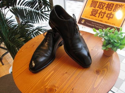 カミルナの関西