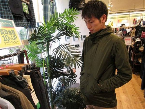 カーリーの関西