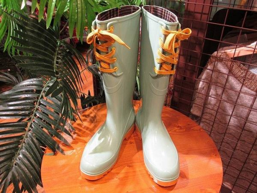 シーバイクロエの関西