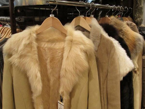 ラビットファーのフォックスファー