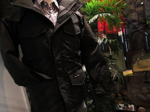 カナダグースの関西