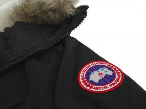 カナダグースのジャスパー