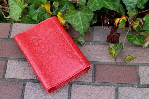 17年01月12日：画像６