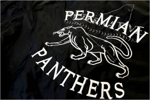 コーチジャケットのリメイク