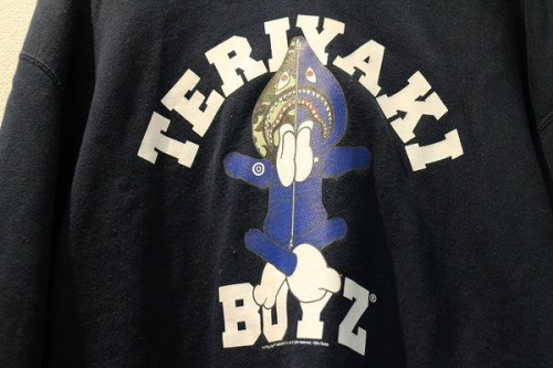 17年06月29日：画像１０