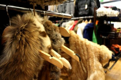 17年12月07日：画像９