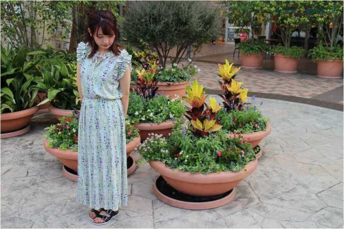 トレファクスタイル尼崎店ブログ画像１