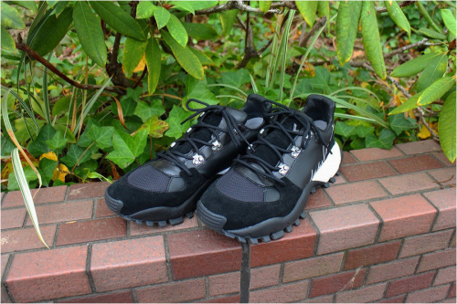 ドメスティックブランドのY-3