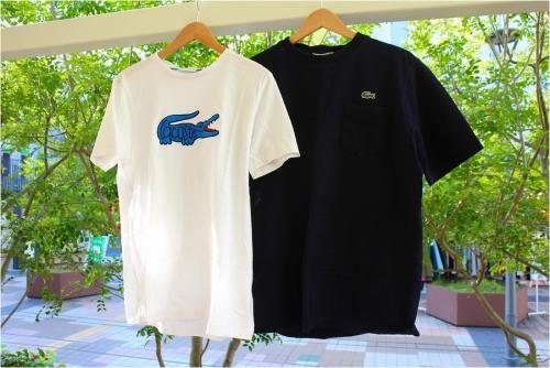 LACOSTEのﾗｺｽﾃ